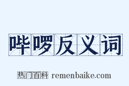 哔啰反义词是什么意思的图片